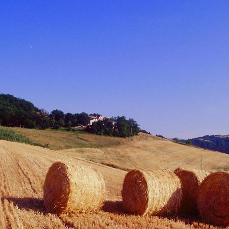 Agriturismo Il Fienile Di Ca Battista Cagli Eksteriør billede