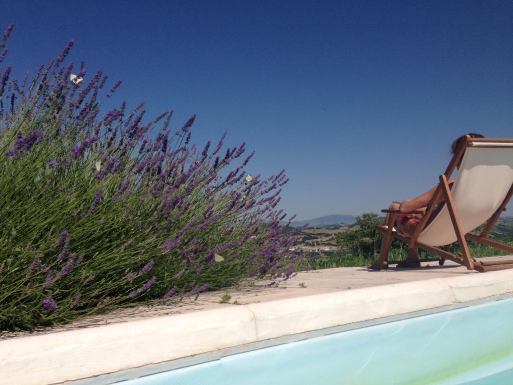 Agriturismo Il Fienile Di Ca Battista Cagli Eksteriør billede