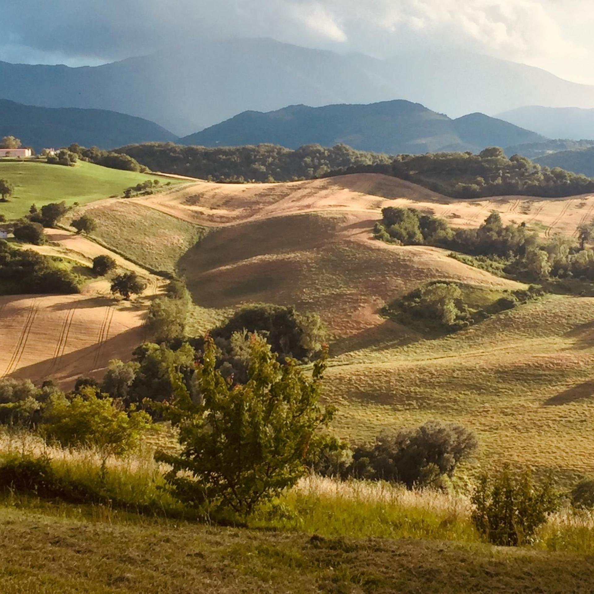 Agriturismo Il Fienile Di Ca Battista Cagli Eksteriør billede