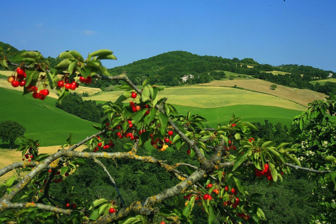 Agriturismo Il Fienile Di Ca Battista Cagli Eksteriør billede