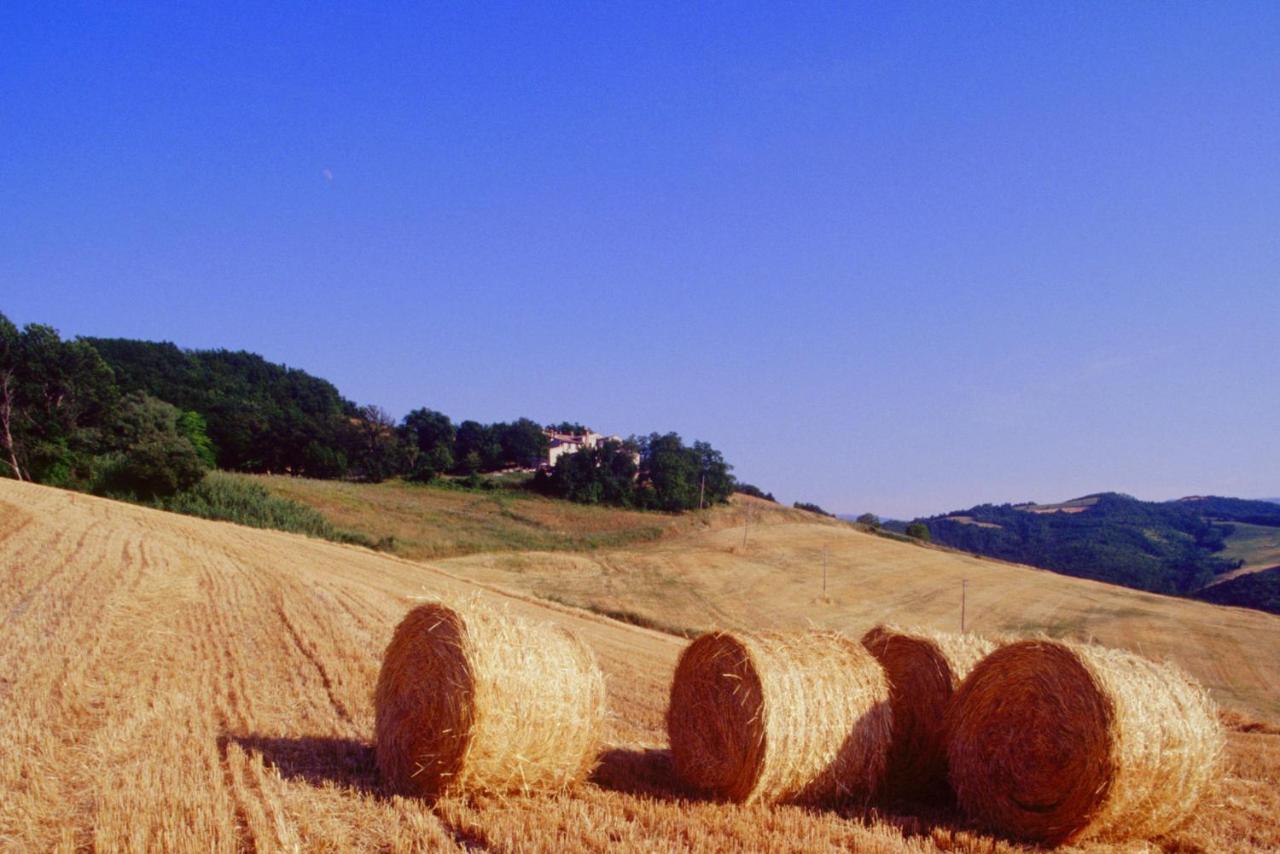 Agriturismo Il Fienile Di Ca Battista Cagli Eksteriør billede